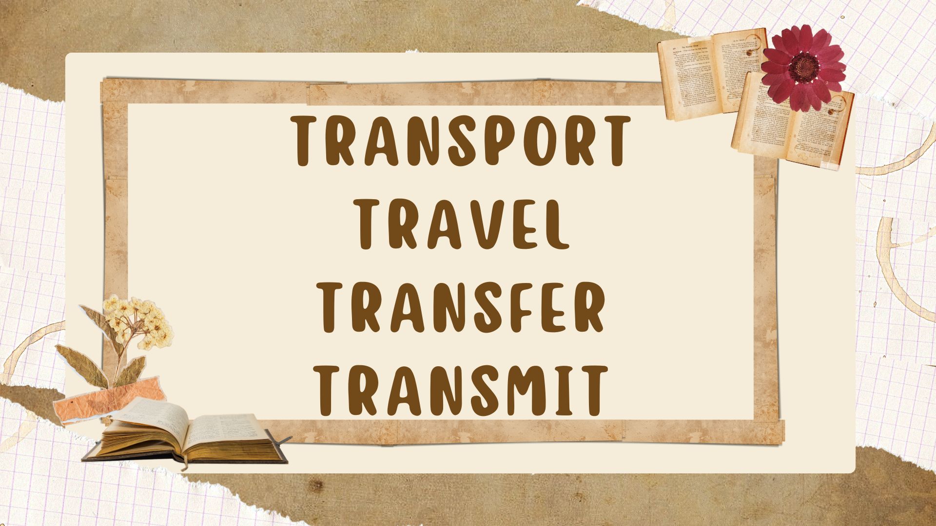 Transport, travel, transfer, transmit: в чём разница?